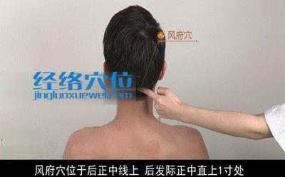 風府穴位位置圖