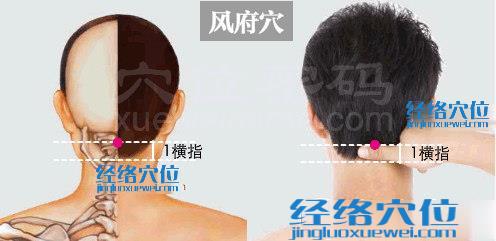 風府穴位位置圖