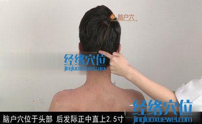 腦戶穴的位置圖