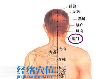 啞門穴的位置圖