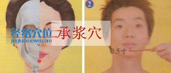 承漿穴的位置圖