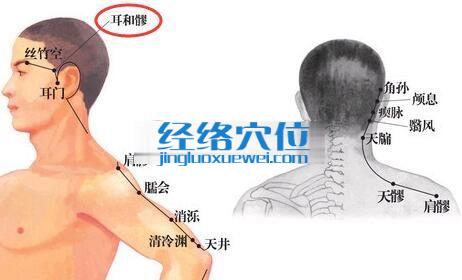 耳和髎穴的位置圖
