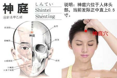 神庭穴位于哪里,準(zhǔn)確位置圖位位置圖