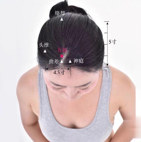 五處的準(zhǔn)確位置圖及功效視頻位位置圖