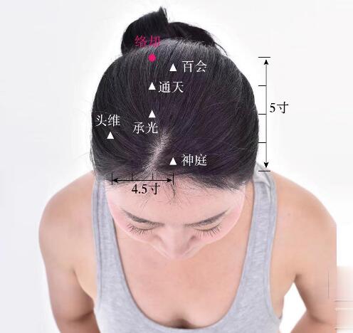 絡(luò)卻的準(zhǔn)確位置圖及功效視頻位位置圖