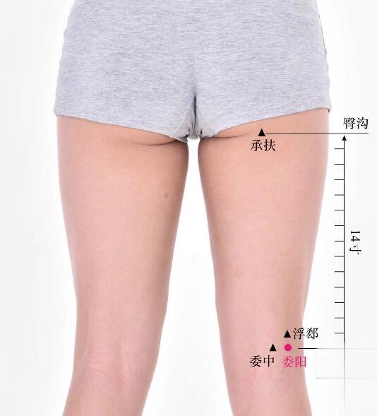 委陽的準確位置圖及功效視頻位位置圖