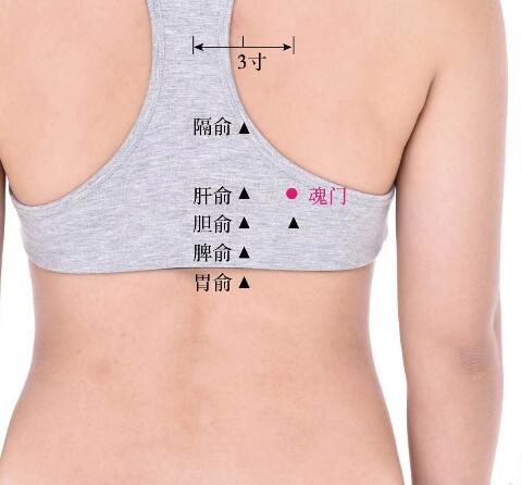 魂門的準確位置圖及功效視頻位位置圖