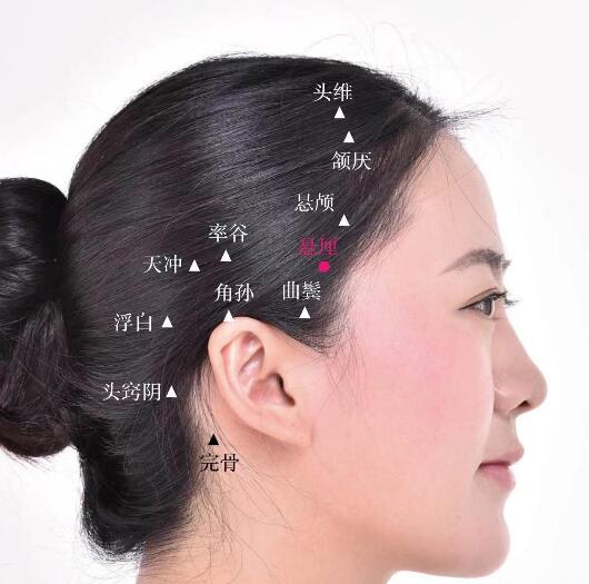 懸厘的準(zhǔn)確位置圖及功效視頻位位置圖