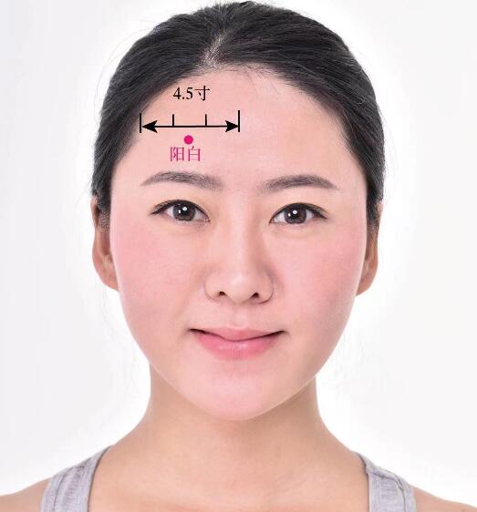 陽白的準(zhǔn)確位置圖及功效視頻位位置圖