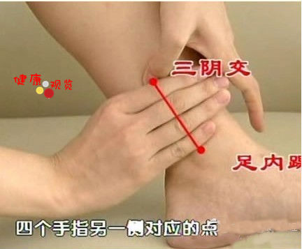 三陰交穴位位置圖