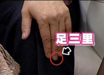 足三里的位置在哪里