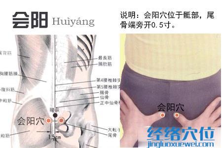 會(huì)陽穴