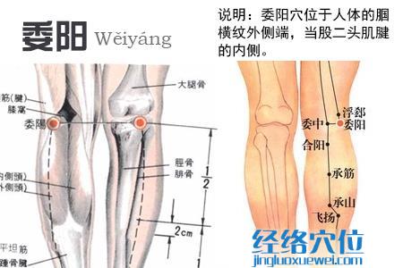 委陽穴
