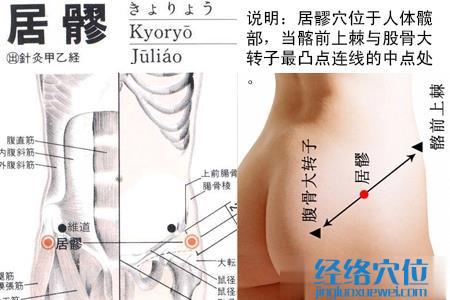 居髎穴的位置圖
