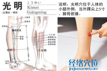 光明穴的位置圖