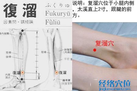 復(fù)溜穴位位置圖