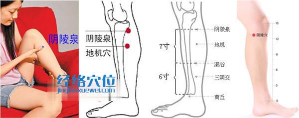 陰陵泉穴位位置圖
