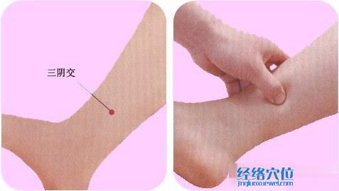 三陰交穴位圖