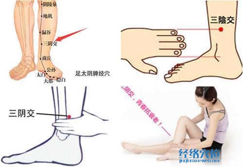 三陰交穴位位置圖（高清圖組）