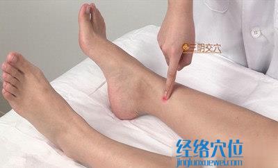 三陰交穴的準確位置圖