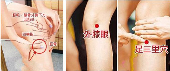 足三里穴位位置圖