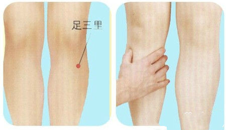 足三里穴位位置圖