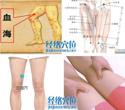 血海穴的準(zhǔn)確位置圖（高清圖組）