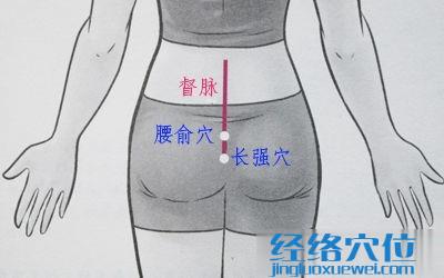 長強(qiáng)穴位位置圖