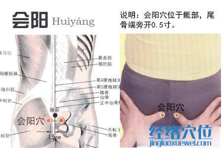 會陽穴位位置圖