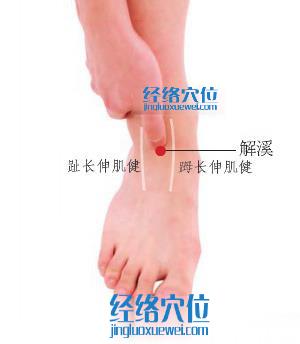解溪穴位位置圖