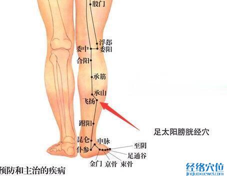 飛楊穴的位置圖