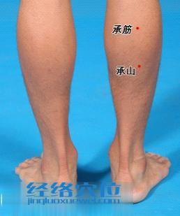 承筋穴的位置圖
