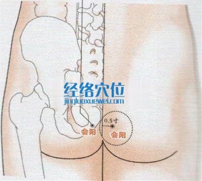 會陽穴