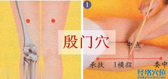 殷門穴的位置及取穴示范圖