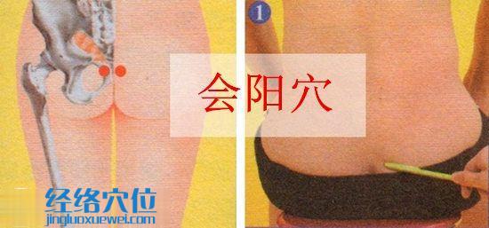 會陽穴的位置及取穴示范圖