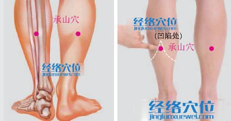 承山穴位位置圖