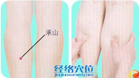 按揉承山穴的手法示范圖