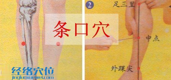 條口穴的準(zhǔn)確位置圖