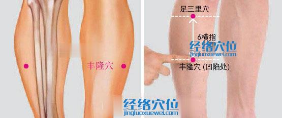 豐隆穴位位置圖