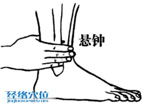 懸鐘穴位位置圖