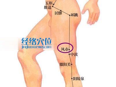 風(fēng)市穴位圖