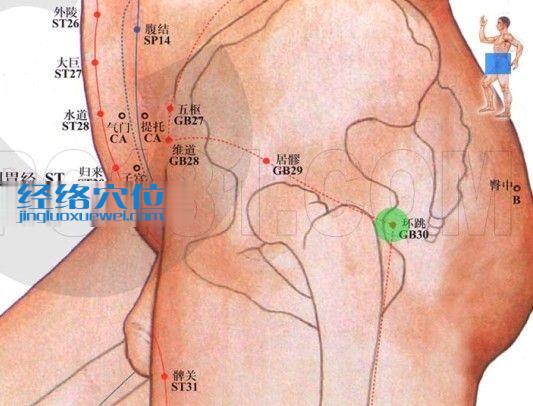 環(huán)跳穴的位置