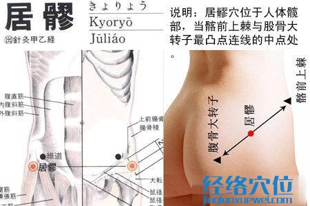 居髎穴的準確位置圖