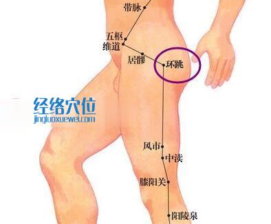 環(huán)跳穴位圖