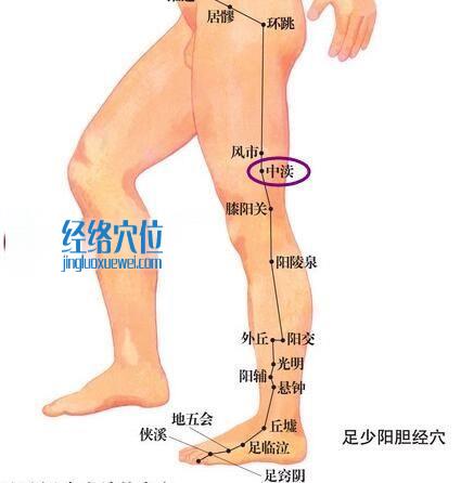 中瀆穴的位置圖