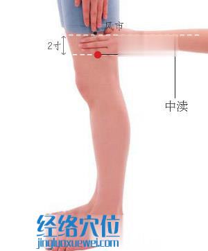 中瀆穴位位置圖