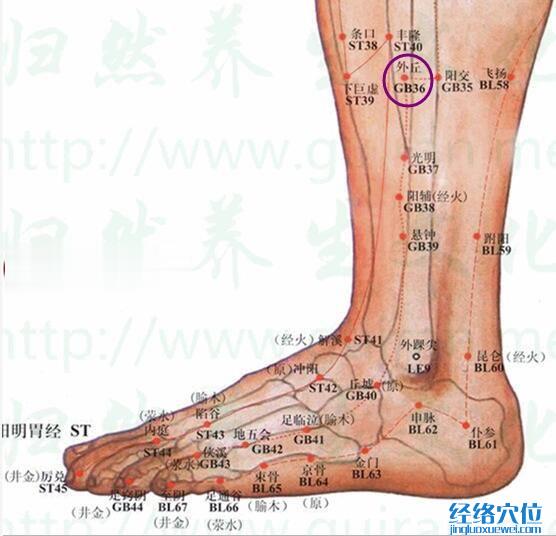 外丘穴的準確位置圖