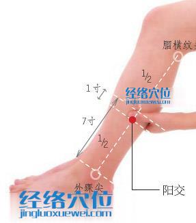 陽交穴位位置圖