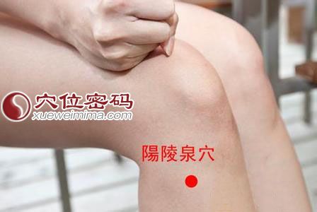 陽陵泉穴位圖