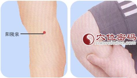 按摩陽陵泉穴的手法示范圖
